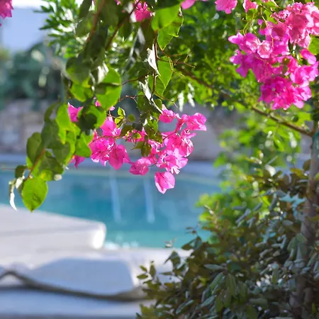 Apartment Portes Koufonisia